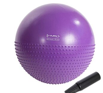 YB03N 55CM PURPLE Gym Ball HMS