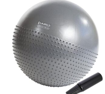 YB03 65CM GRAY Gym Ball HMS