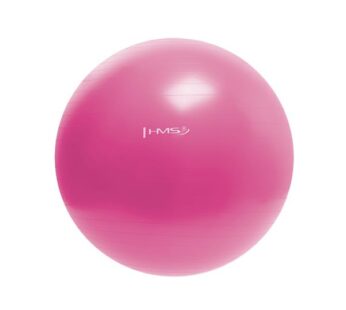 YB01N 55CM PINK Gym Ball HMS