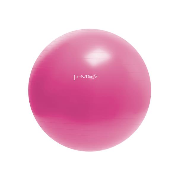 YB01N 55CM PINK Gym Ball HMS